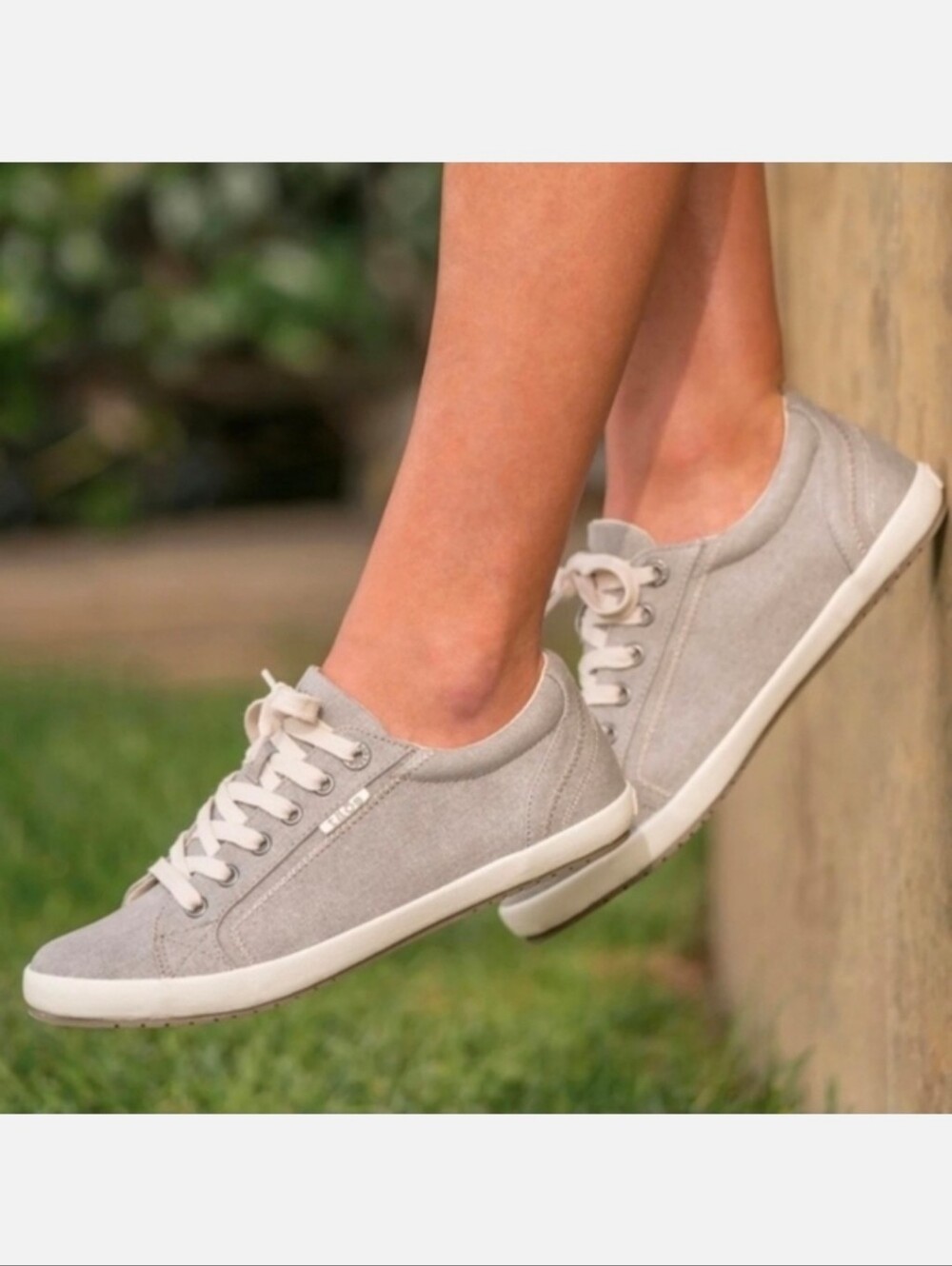 Taos Star Sneaker Grey Canvas Women's 7